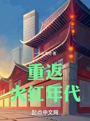 重返火红年代TXT下载