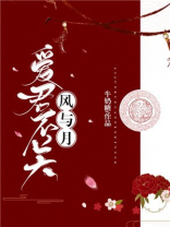 爱君不关风与月txt百度云