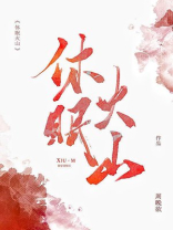 休眠火山小说TXT下载