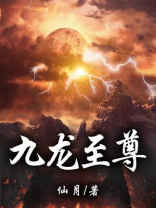 九龙至尊