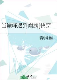 当巅峰遇到巅疯[快穿]晋江