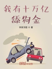 我有十万亿舔狗金 小说书评