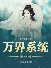 服务器系统怎么装