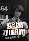 赘婿小说 秦相