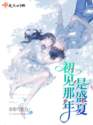 初见那年是盛夏小说