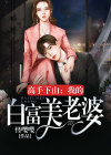 我的高手老婆全文免费阅读