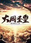 大周圣皇免费下载小说