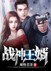 战神王婿奶爸叶轩