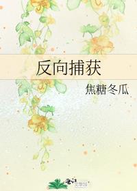 反向捕获车文是哪一章