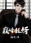 巅峰狂婿霍海云晴