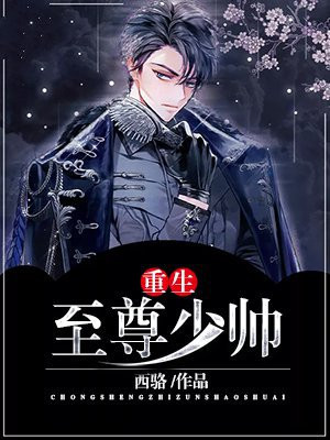 重生至尊少帅