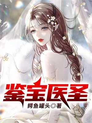 小说超级鉴宝医圣