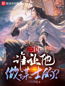 三国谁让他做谋士的小说