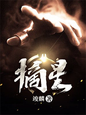 摘星by沈清闲免费阅读