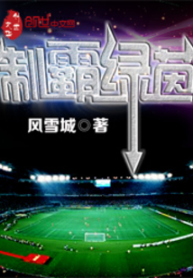 绿茵球霸