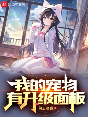 我的宠物有升级面板小说