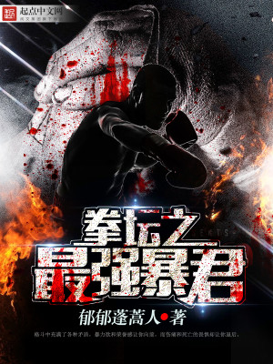 最强拳王小说