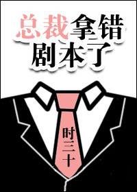 总裁拿错剧本了小说百度云
