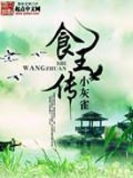 食王传奇 百度云