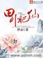天外肥仙的小说