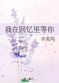 我在回忆里等你 辛夷坞
