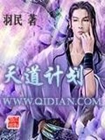 天道计划TXT下载