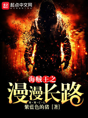 海贼王之漫漫长路怎么样