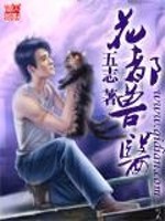花都兽医岳母于梦的言情小说