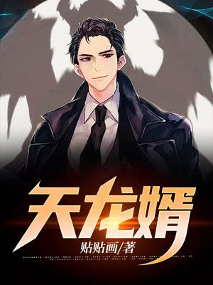 天龙医婿全集