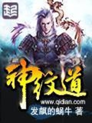 神纹道全文免费阅读