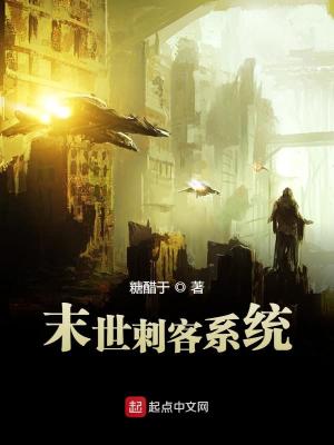 末世刺客小说