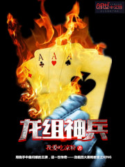 5级神兵龙