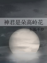 神君是朵高岭花