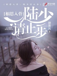 相思入骨,陆少请止步小说免费阅读