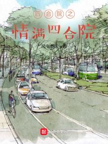 四合院之情满四合院小说