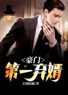 豪门第一弃婿评书