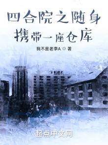 四合院之随身携带一座仓库小说