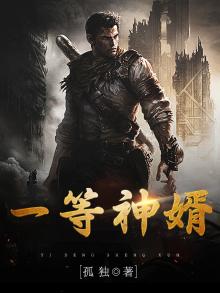 一等狂婿 小说