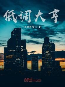低调大亨免费阅读