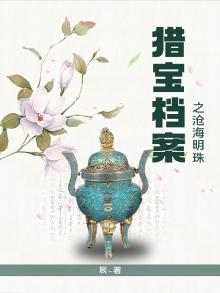 猎宝档案之沧海明珠 辰txt