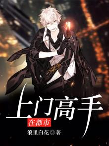 高手重回都市当上门女婿
