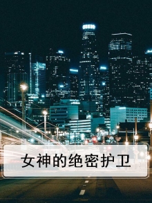 女神的完美护卫 小说