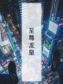 至尊龙皇第88集免费观看