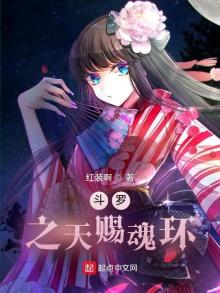 斗罗之天赐魂环 小说