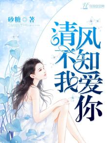 清风不知我爱你舒窈厉沉溪