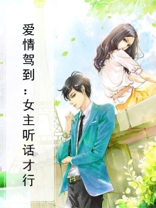爱情驾到南方番外