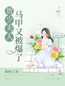 贺夫人马甲有点多