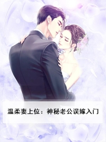 小说《温柔婚》