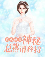 神秘总裁宠妻请低调全文免费阅读