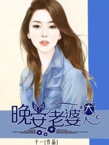 晚安老婆大人安景川全文免费阅读